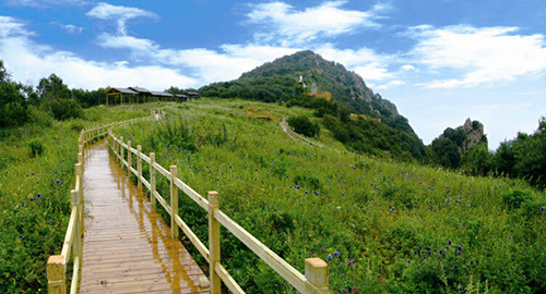 1503555518540886.png image.png