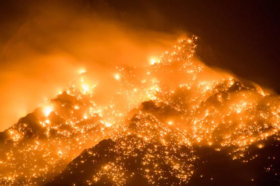 森林防火 森林防火